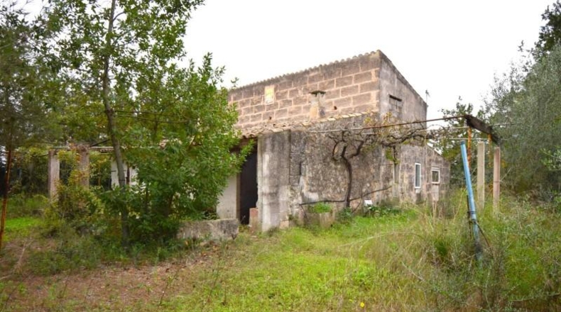 Islas Baleares - Muro - 50419m2