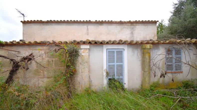 Islas Baleares - Muro - 50419m2
