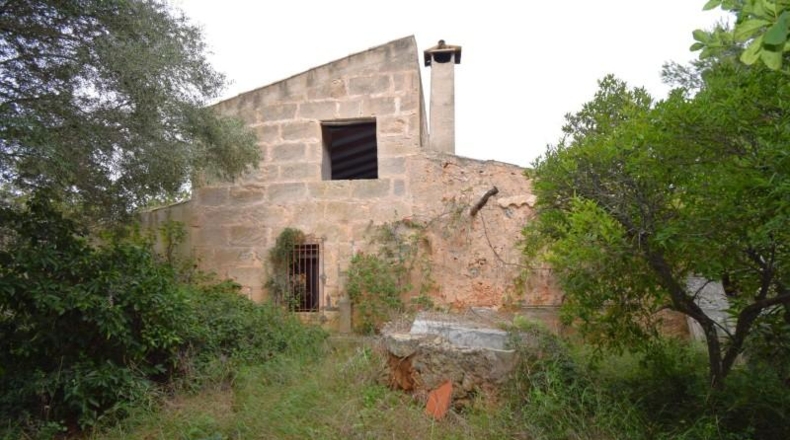 Islas Baleares - Muro - 50419m2