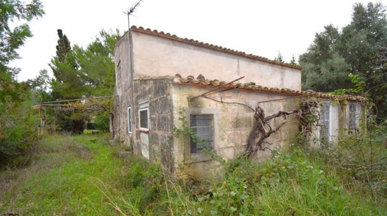 Islas Baleares - Muro - 50419m2