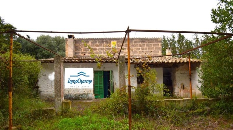Islas Baleares - Muro - 50419m2
