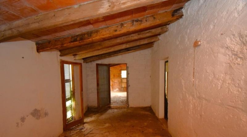 Islas Baleares - Muro - 50419m2