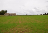 Chalet independiente con terreno en venta en la España, Muro, ref: TR152349 foto