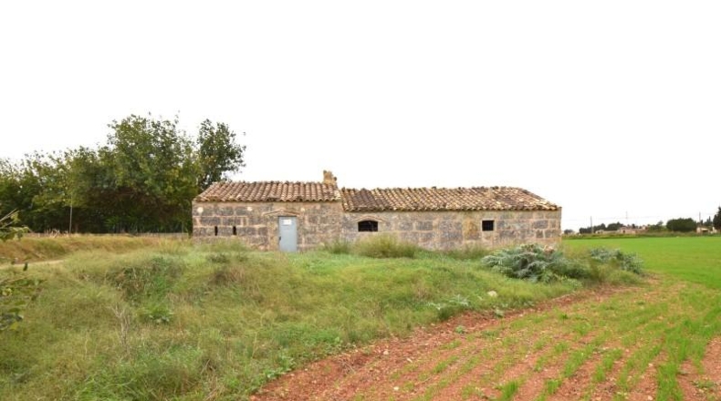 Islas Baleares - Muro - 50419m2