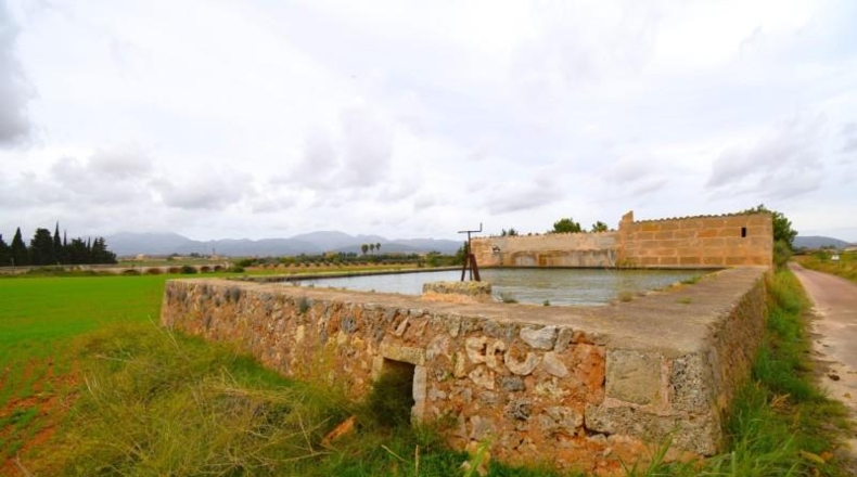 Islas Baleares - Muro - 50419m2