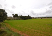 Chalet independiente con terreno en venta en la España, Muro, ref: TR152349 foto