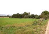 Chalet independiente con terreno en venta en la España, Muro, ref: TR152349 foto