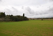 Chalet independiente con terreno en venta en la España, Muro, ref: TR152349 foto