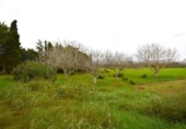 Chalet independiente con terreno en venta en la España, Muro, ref: TR152349 foto