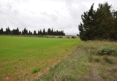 Chalet independiente con terreno en venta en la España, Muro, ref: TR152349 foto