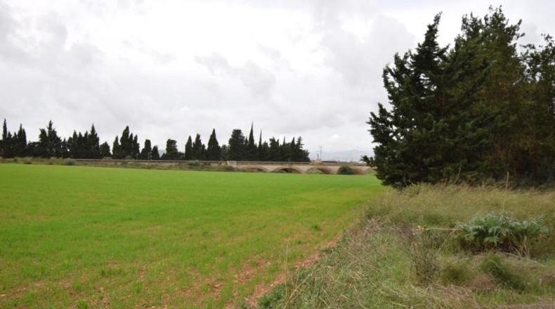 Islas Baleares - Muro - 50419m2