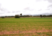 Chalet independiente con terreno en venta en la España, Muro, ref: TR152349 foto