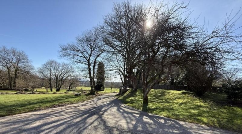 Lugo - Friol - 8000m2