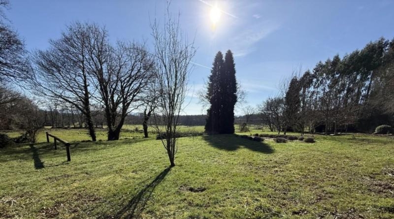 Lugo - Friol - 8000m2