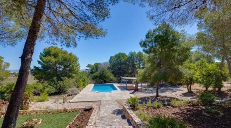 Alicante - Torrevieja - 18850m2