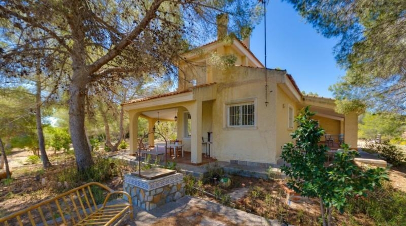 Alicante - Torrevieja - 18850m2