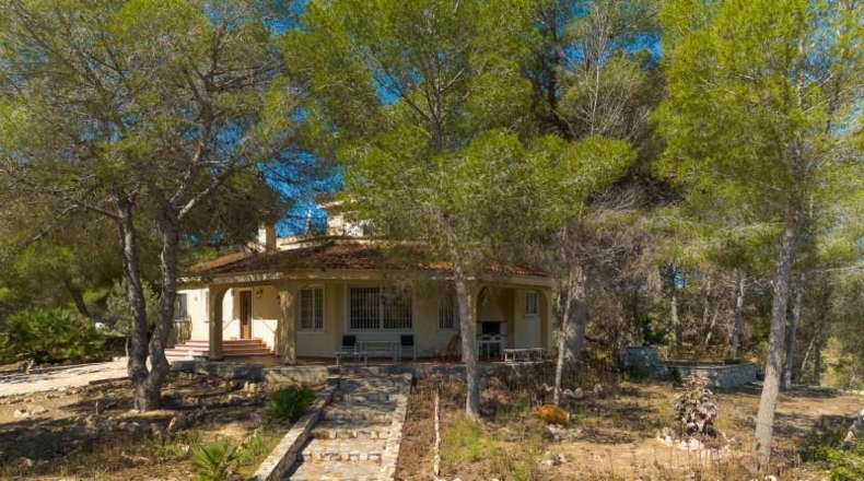Alicante - Torrevieja - 18850m2