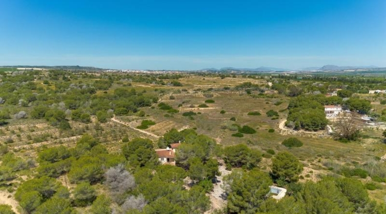 Alicante - Torrevieja - 18850m2