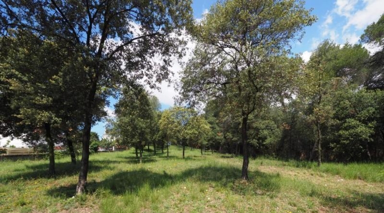 Barcelona - Cànoves - 172590m2