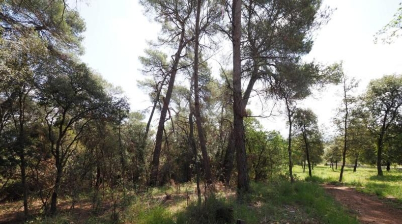 Barcelona - Cànoves - 172590m2