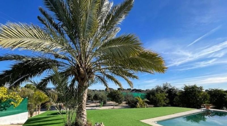 Castellon - Castelló de la Plana - 4415m2