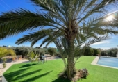 Chalet independiente con terreno en venta en la España, Mutxamel, ref: TR375410 foto