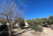 Chalet independiente con terreno en venta en la España, Mutxamel, ref: TR375410 foto