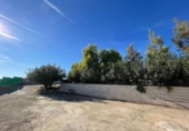 Chalet independiente con terreno en venta en la España, Mutxamel, ref: TR375410 foto