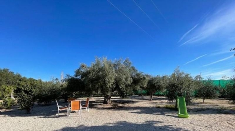 Castellon - Castelló de la Plana - 4415m2