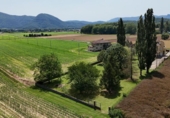 Detached villa with land for sale on España, Sant Esteve d'en Bas, ref: TR173020 photo