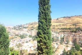 Foto 9