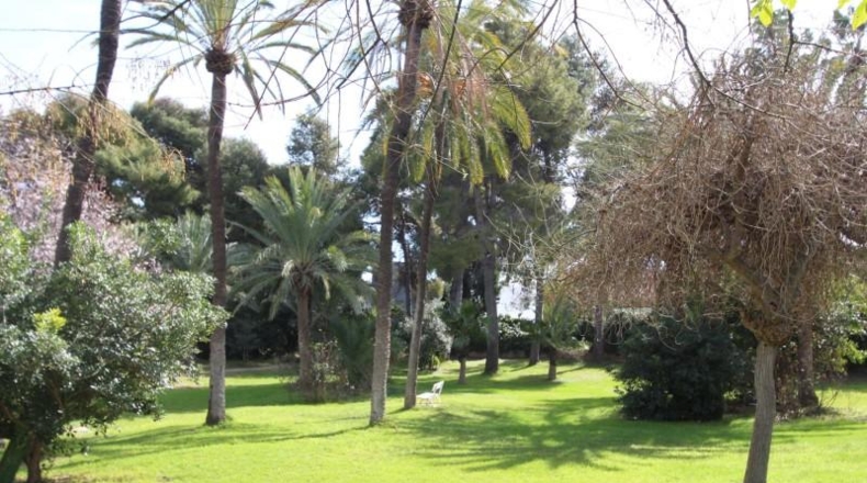 Gerona - Torrent - 13166m2