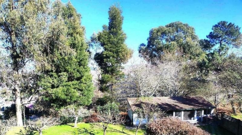 Pontevedra - Vigo - 1520m2