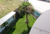 Detached villa with land for sale on España, Villaturiel, ref: TR353551 photo