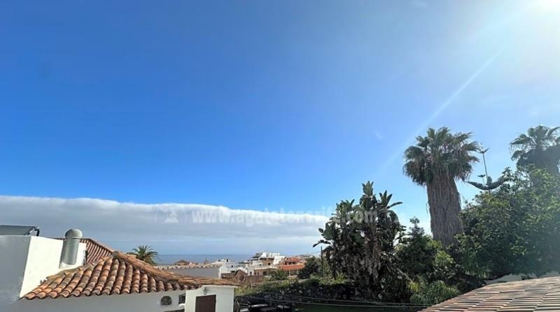 Santa Cruz de Tenerife - Icod de los Vinos - 590m2