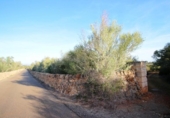 Terreny no urbanitzable en venda a la España, Campos, ref.: TR126171 foto