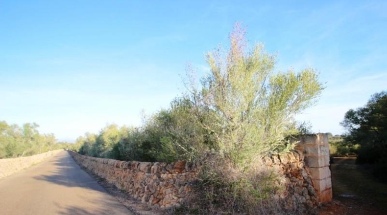 Islas Baleares - Campos - 67455m2