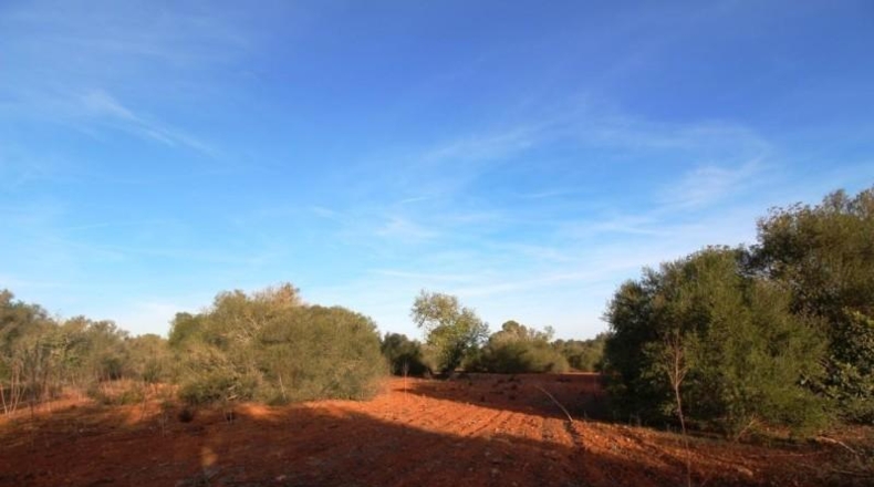 Islas Baleares - Campos - 67455m2