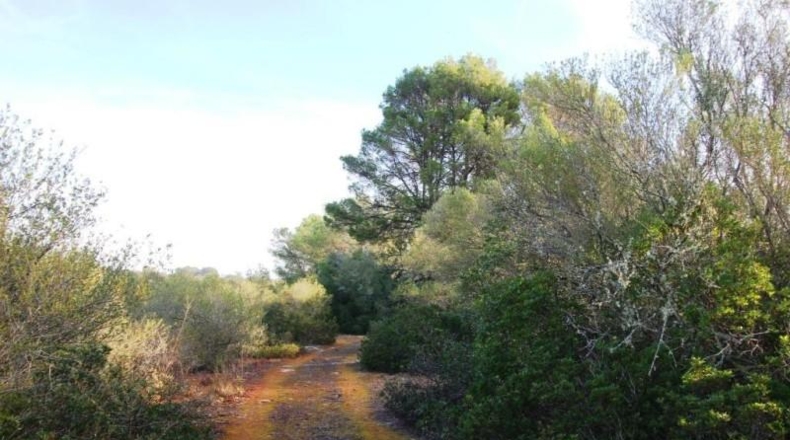 Islas Baleares - Campos - 67455m2