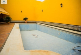 Foto 8