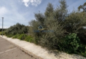 Suelo urbano en venta en la España, Ses Salines, ref: TR117620 foto