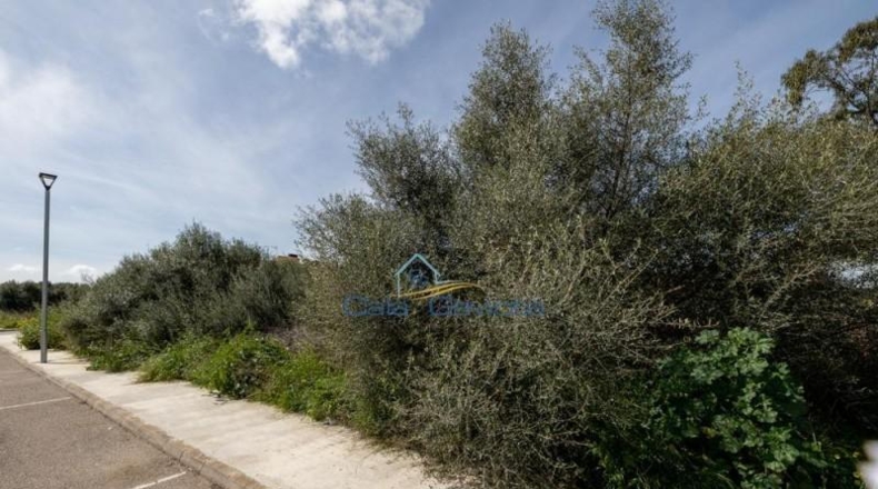 Balearic Islands - Las Salinas - 543m2