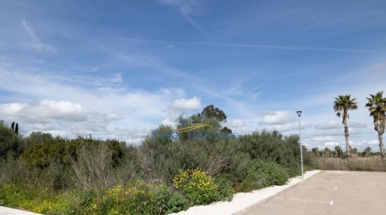 Balearic Islands - Las Salinas - 543m2