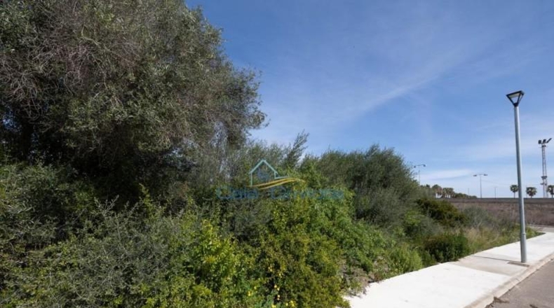 Balearic Islands - Las Salinas - 543m2