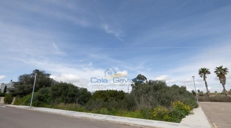 Balearic Islands - Las Salinas - 543m2
