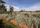 Suelo urbano en venta en la España, Ses Salines, ref: TR117620 foto