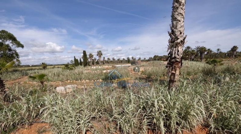 Balearic Islands - Las Salinas - 543m2