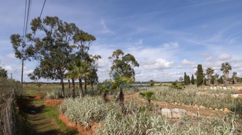 Balearic Islands - Las Salinas - 543m2