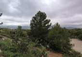 Country house with land for sale on España, Albinyana, ref: TR242521 photo