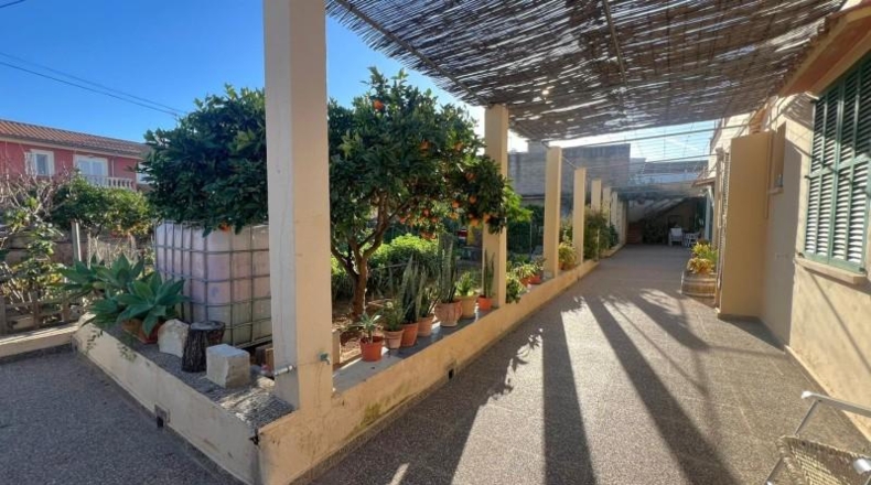 Illes Balears - Palma - 655m2